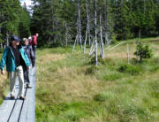Wanderwoche Riesengebirge im September 2012 - Im Schwarzenbergmoor 