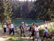 Wanderung im Frankenwald - Im Frankenwald gibt es häufig versteckte Floßteiche, wie z.B. der Schwarze Teich