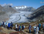 2003 Wallis (09a) Aletschwald und Gletscher