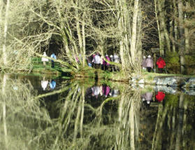 Die Mitglieder erkunden bei ihren Wanderungen in der schönen Natur, wie hier am 23. November am Zechteich bei Marienweiher