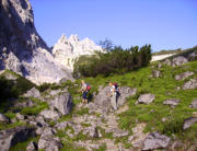 Juli 2008 - Wanderfahrt zur Zugspitze - Die Baumgrenze ist fast erreicht 