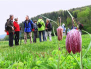Wanderung zu den Schachblumen im Sinntal, April 2010 - Roland Bauer führte uns zu den Schachblumen im Sinntal
