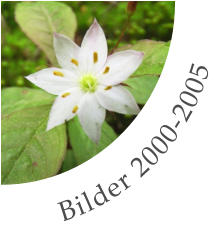 Bilder 2000-2005