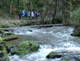 Im Schorgasttal bei Wirsberg 