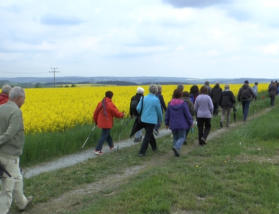 Bei Berg