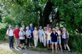Beim ältesten Apfelbaum Deutschlands