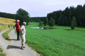 Im Ullrichsbachtal