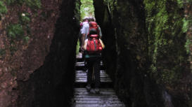 In der Drachenschlucht bei Eisenach