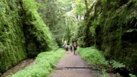 Landgrafenschlucht bei Eisenach