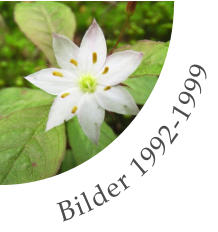Bilder 1992-1999