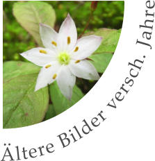 Ältere Bilder versch. Jahre