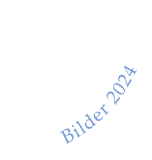 Bilder 2024